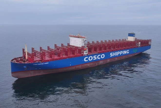 China-Japan Sea Freight Full Container high quality